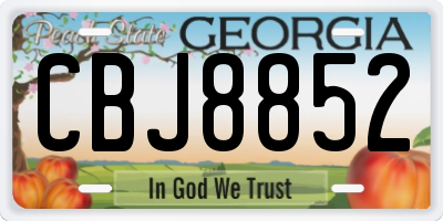 GA license plate CBJ8852