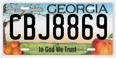 GA license plate CBJ8869