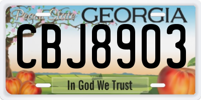 GA license plate CBJ8903