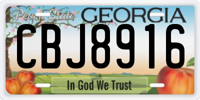 GA license plate CBJ8916