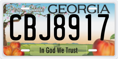 GA license plate CBJ8917