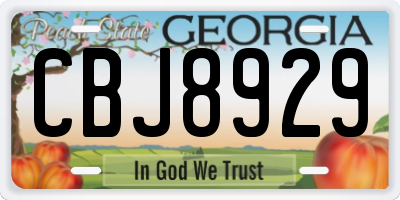 GA license plate CBJ8929