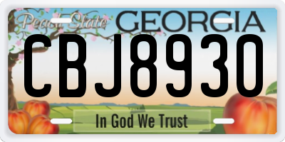 GA license plate CBJ8930