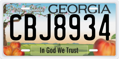 GA license plate CBJ8934