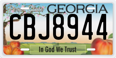 GA license plate CBJ8944