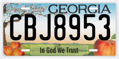GA license plate CBJ8953