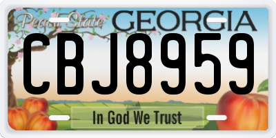 GA license plate CBJ8959