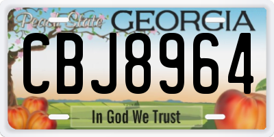GA license plate CBJ8964