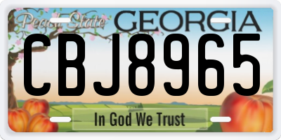 GA license plate CBJ8965