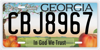 GA license plate CBJ8967