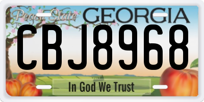 GA license plate CBJ8968