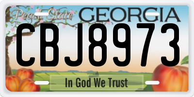 GA license plate CBJ8973