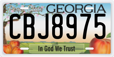 GA license plate CBJ8975