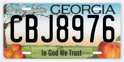 GA license plate CBJ8976
