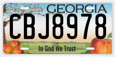 GA license plate CBJ8978