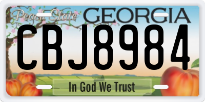 GA license plate CBJ8984