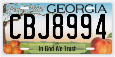 GA license plate CBJ8994