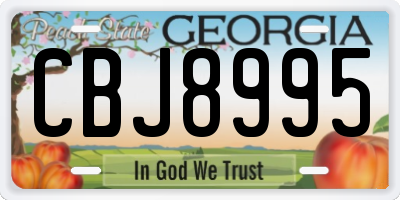 GA license plate CBJ8995