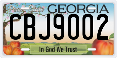 GA license plate CBJ9002