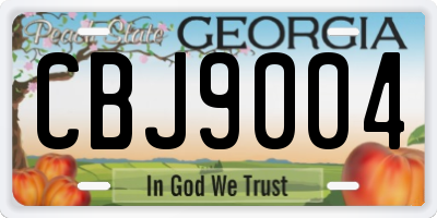 GA license plate CBJ9004