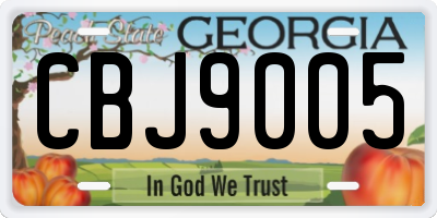 GA license plate CBJ9005