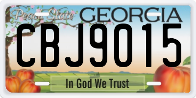 GA license plate CBJ9015
