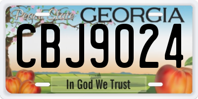 GA license plate CBJ9024