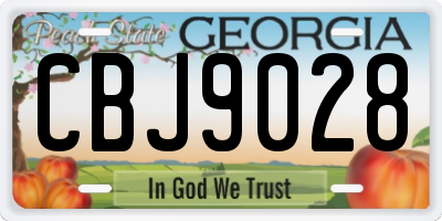GA license plate CBJ9028