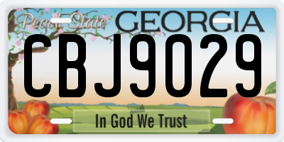 GA license plate CBJ9029