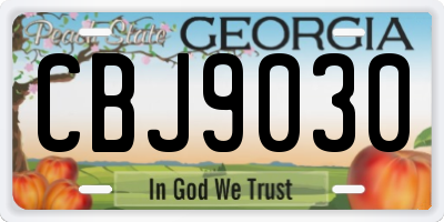 GA license plate CBJ9030