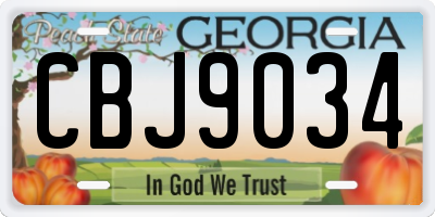 GA license plate CBJ9034