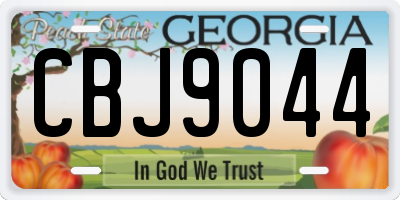 GA license plate CBJ9044