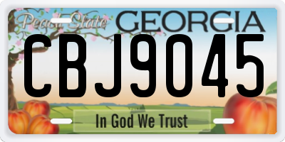 GA license plate CBJ9045