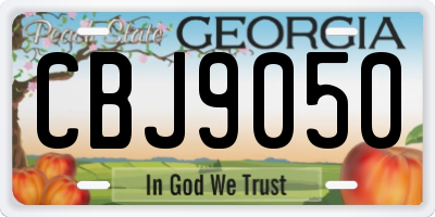 GA license plate CBJ9050