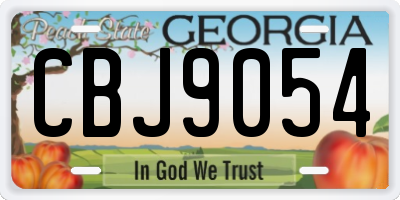 GA license plate CBJ9054