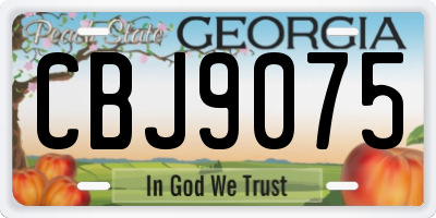 GA license plate CBJ9075