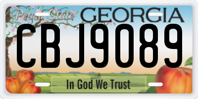 GA license plate CBJ9089