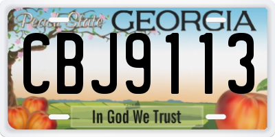 GA license plate CBJ9113