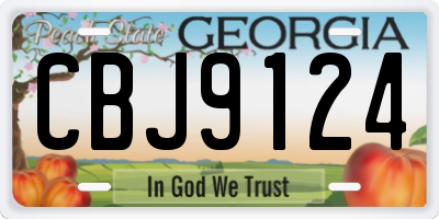 GA license plate CBJ9124