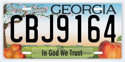 GA license plate CBJ9164