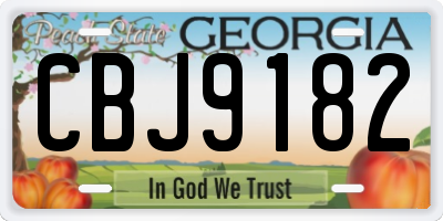GA license plate CBJ9182