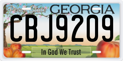 GA license plate CBJ9209