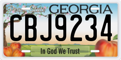 GA license plate CBJ9234