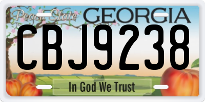 GA license plate CBJ9238