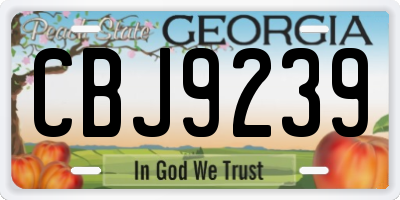 GA license plate CBJ9239