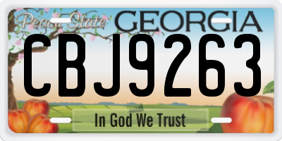 GA license plate CBJ9263