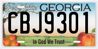 GA license plate CBJ9301