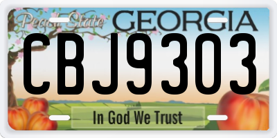 GA license plate CBJ9303