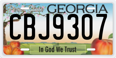GA license plate CBJ9307