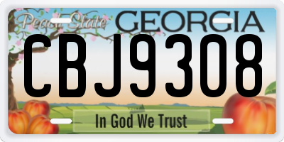 GA license plate CBJ9308
